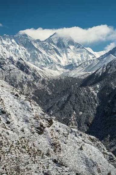 A city in the style of Blade Runner