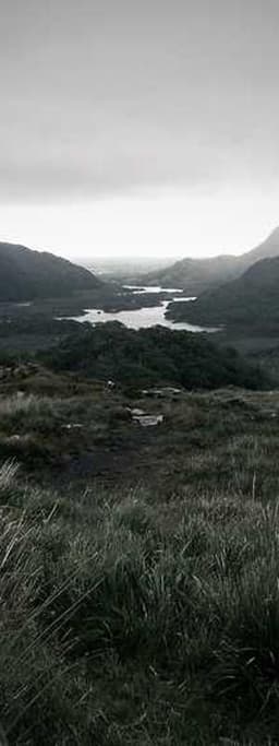 A minimalist architectural photo