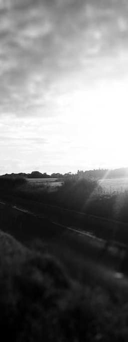 A classical painted portrait