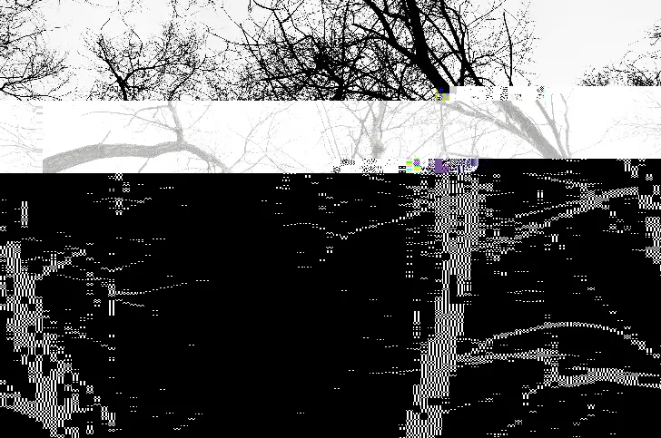 Beautiful Breakdowns: How Digital Glitches Became the Art World's Favorite Aesthetic